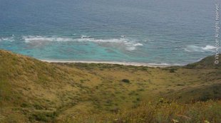 Isaac Bay Isaac Bay